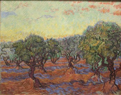 Olivenhain von Vincent van Gogh